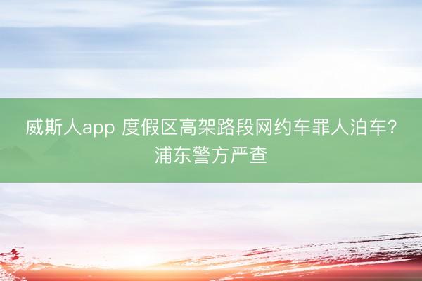 威斯人app 度假区高架路段网约车罪人泊车？浦东警方严查
