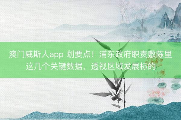 澳门威斯人app 划要点！浦东政府职责敷陈里这几个关键数据，透视区域发展标的
