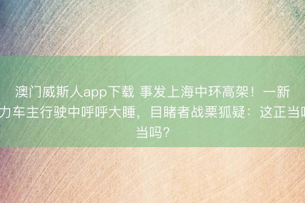 澳门威斯人app下载 事发上海中环高架！一新动力车主行驶中呼呼大睡，目睹者战栗狐疑：这正当吗?