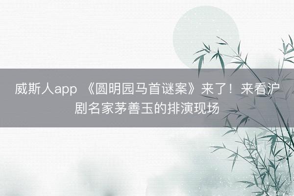 威斯人app 《圆明园马首谜案》来了！来看沪剧名家茅善玉的排演现场