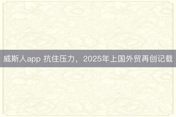 威斯人app 抗住压力，2025年上国外贸再创记载