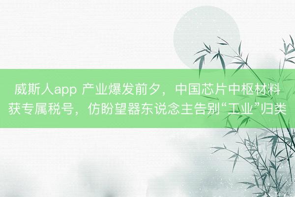 威斯人app 产业爆发前夕，中国芯片中枢材料获专属税号，仿盼望器东说念主告别“工业”归类