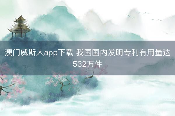 澳门威斯人app下载 我国国内发明专利有用量达532万件