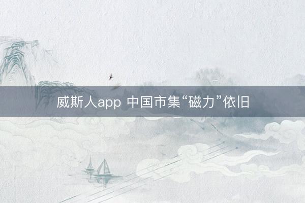 威斯人app 中国市集“磁力”依旧