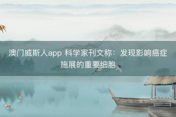 澳门威斯人app 科学家刊文称：发现影响癌症施展的重要细胞