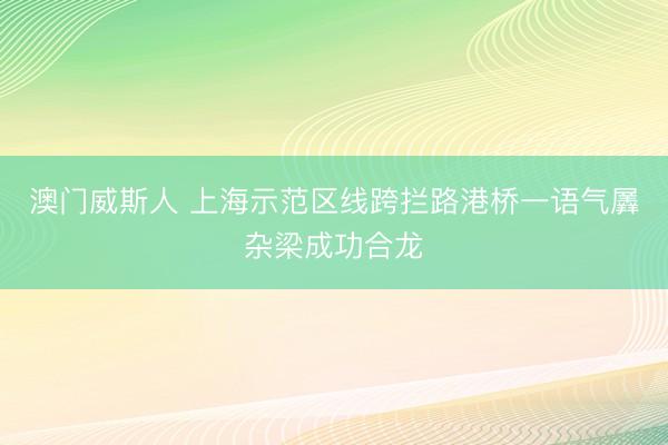澳门威斯人 上海示范区线跨拦路港桥一语气羼杂梁成功合龙