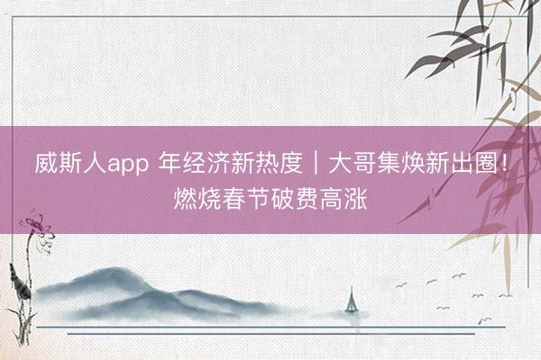 威斯人app 年经济新热度｜大哥集焕新出圈！燃烧春节破费高涨