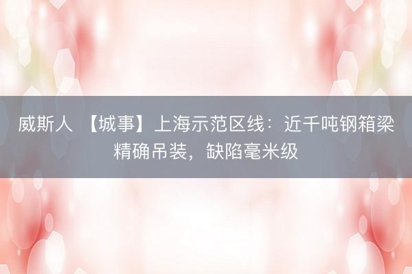 威斯人 【城事】上海示范区线：近千吨钢箱梁精确吊装，缺陷毫米级