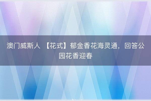 澳门威斯人 【花式】郁金香花海灵通，回答公园花香迎春