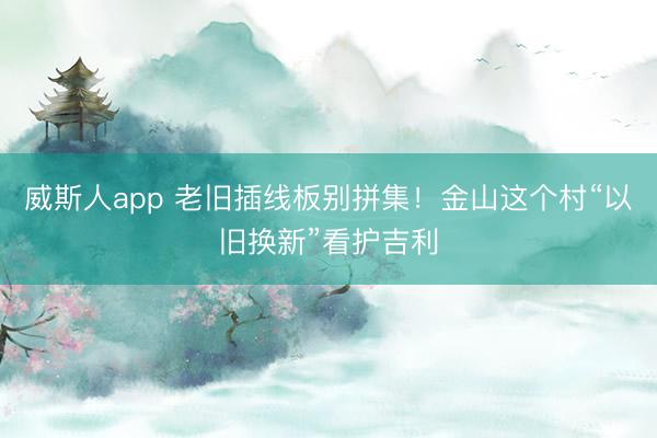 威斯人app 老旧插线板别拼集！金山这个村“以旧换新”看护吉利