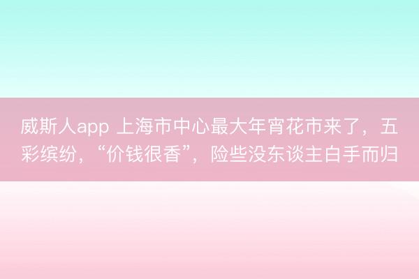 威斯人app 上海市中心最大年宵花市来了，五彩缤纷，“价钱很香”，险些没东谈主白手而归