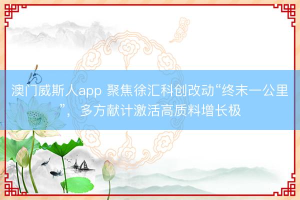 澳门威斯人app 聚焦徐汇科创改动“终末一公里”，多方献计激活高质料增长极