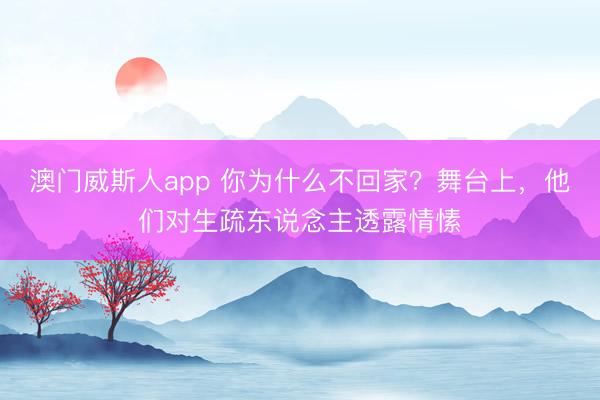 澳门威斯人app 你为什么不回家？舞台上，他们对生疏东说念主透露情愫