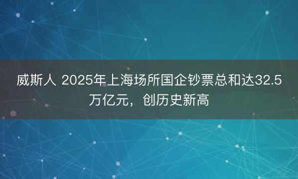 威斯人 2025年上海场所国企钞票总和达32.5万亿元，创历史新高