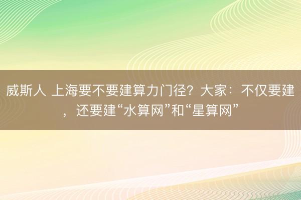 威斯人 上海要不要建算力门径？大家：不仅要建，还要建“水算网”和“星算网”