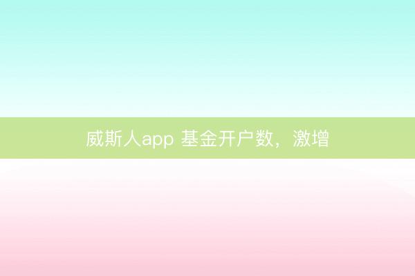 威斯人app 基金开户数，激增