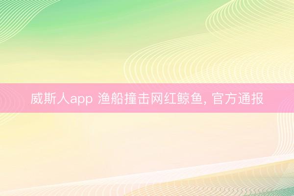 威斯人app 渔船撞击网红鲸鱼, 官方通报