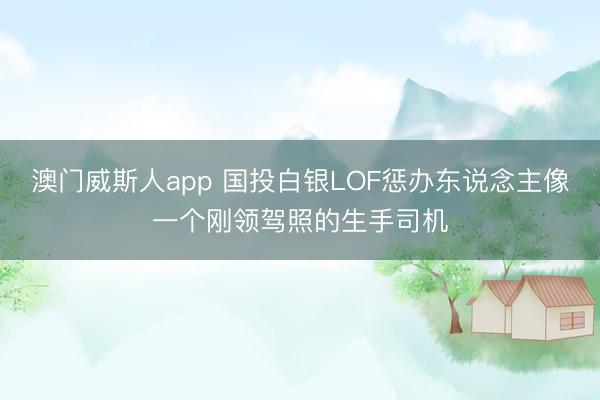 澳门威斯人app 国投白银LOF惩办东说念主像一个刚领驾照的生手司机