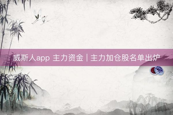 威斯人app 主力资金 | 主力加仓股名单出炉