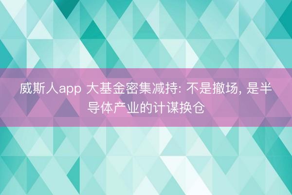 威斯人app 大基金密集减持: 不是撤场, 是半导体产业的计谋换仓