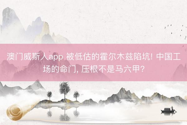 澳门威斯人app 被低估的霍尔木兹陷坑! 中国工场的命门, 压根不是马六甲?