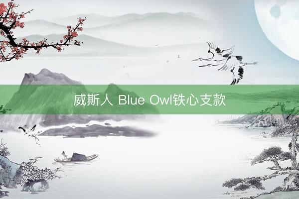 威斯人 Blue Owl铁心支款
