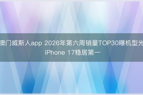 澳门威斯人app 2026年第六周销量TOP30曝机型光 iPhone 17稳居第一