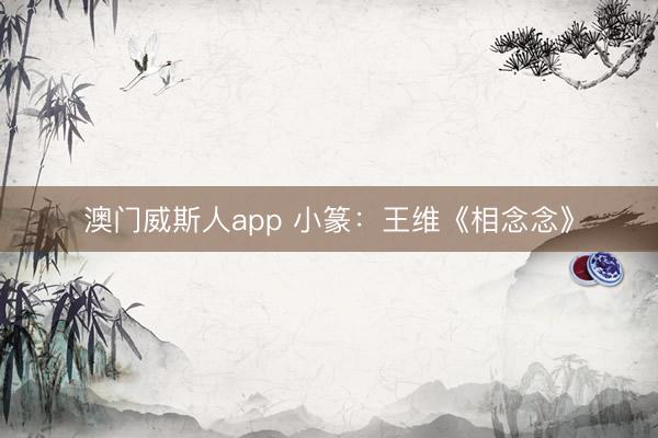 澳门威斯人app 小篆：王维《相念念》