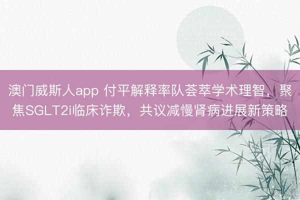 澳门威斯人app 付平解释率队荟萃学术理智，聚焦SGLT2i临床诈欺，共议减慢肾病进展新策略