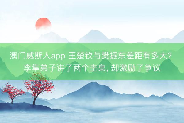 澳门威斯人app 王楚钦与樊振东差距有多大? 李隼弟子讲了两个圭臬， 却激励了争议