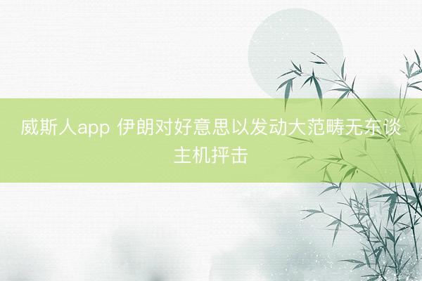 威斯人app 伊朗对好意思以发动大范畴无东谈主机抨击