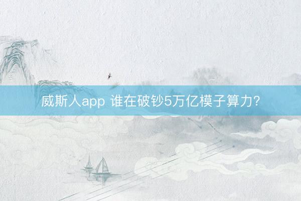 威斯人app 谁在破钞5万亿模子算力？