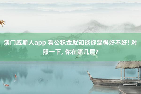 澳门威斯人app 看公积金就知谈你混得好不好! 对照一下， 你在第几层?