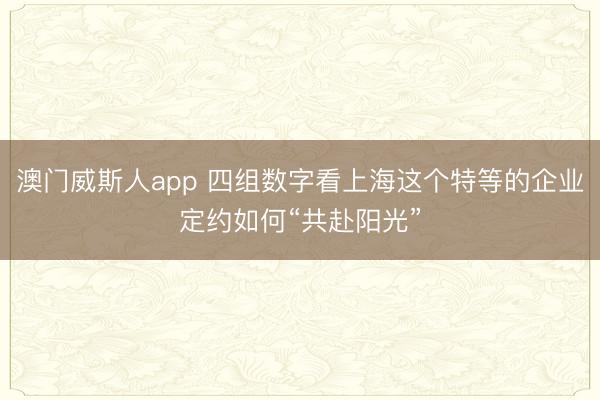 澳门威斯人app 四组数字看上海这个特等的企业定约如何“共赴阳光”