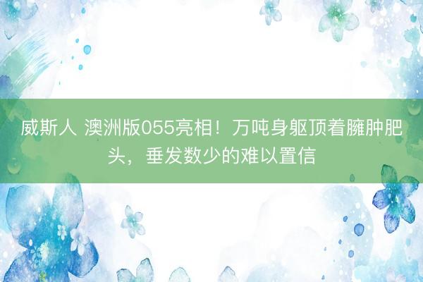 威斯人 澳洲版055亮相！万吨身躯顶着臃肿肥头，垂发数少的难以置信
