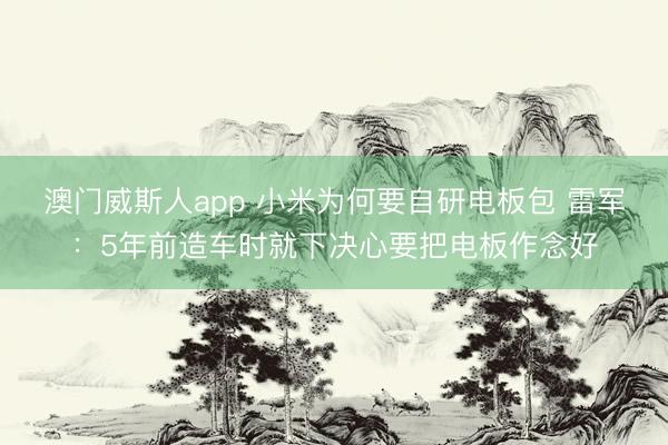 澳门威斯人app 小米为何要自研电板包 雷军：5年前造车时就下决心要把电板作念好