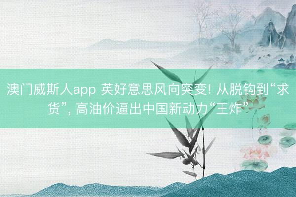 澳门威斯人app 英好意思风向突变! 从脱钩到“求货”, 高油价逼出中国新动力“王炸”