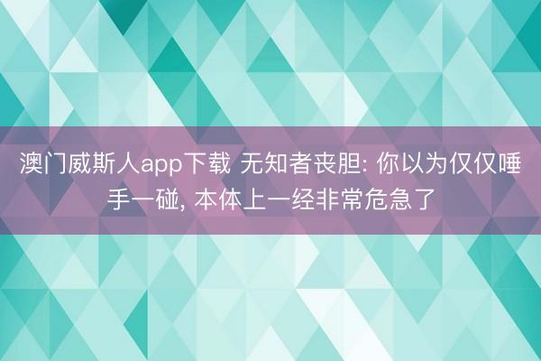 澳门威斯人app下载 无知者丧胆: 你以为仅仅唾手一碰， 本体上一经非常危急了