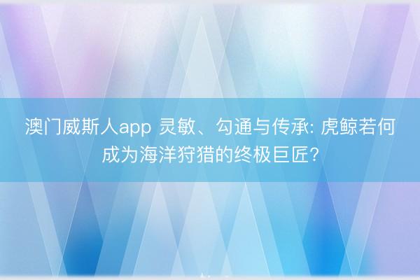 澳门威斯人app 灵敏、勾通与传承: 虎鲸若何成为海洋狩猎的终极巨匠?