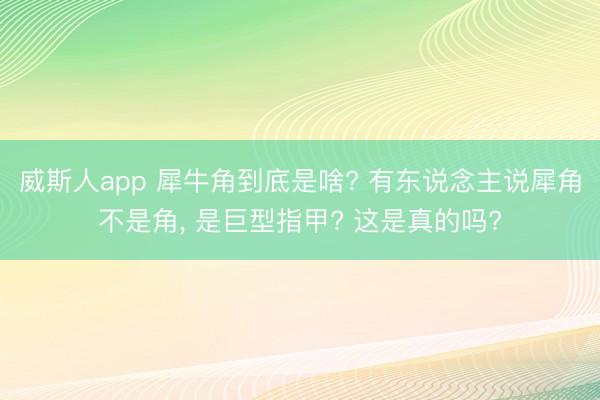 威斯人app 犀牛角到底是啥? 有东说念主说犀角不是角, 是巨型指甲? 这是真的吗?