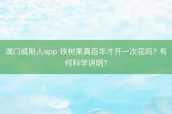 澳门威斯人app 铁树果真百年才开一次花吗? 有何科学讲明?