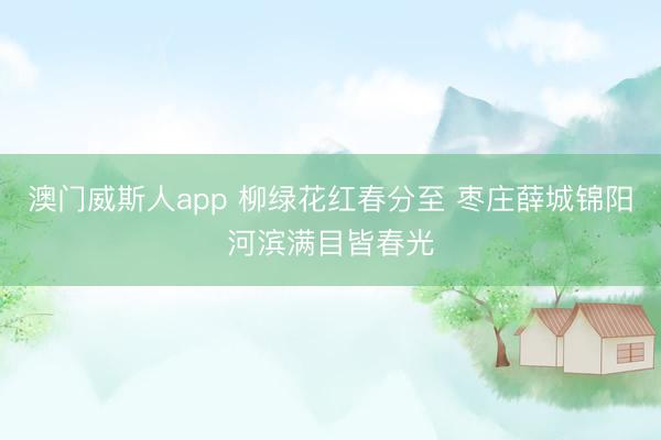 澳门威斯人app 柳绿花红春分至 枣庄薛城锦阳河滨满目皆春光
