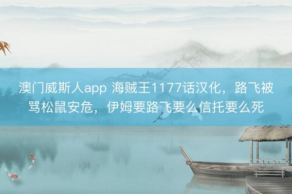 澳门威斯人app 海贼王1177话汉化，路飞被骂松鼠安危，伊姆要路飞要么信托要么死