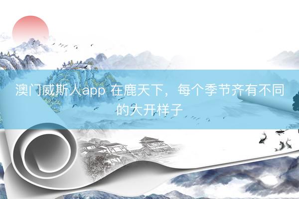 澳门威斯人app 在鹿天下，每个季节齐有不同的大开样子