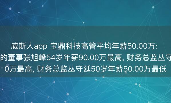 威斯人app 宝鼎科技高管平均年薪50.00万: 董事长及实行公司事务的董事张旭峰54岁年薪90.00万最高, 财务总监丛守延50岁年薪50.00万最低