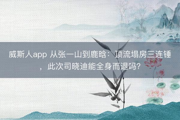 威斯人app 从张一山到鹿晗：顶流塌房三连锤，此次司晓迪能全身而退吗？