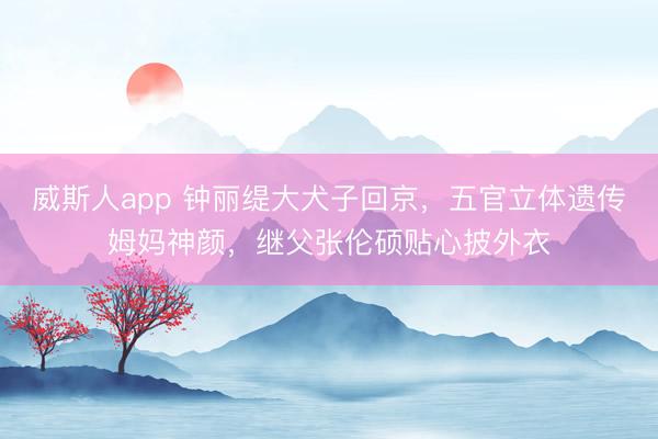 威斯人app 钟丽缇大犬子回京，五官立体遗传姆妈神颜，继父张伦硕贴心披外衣
