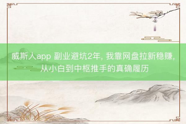 威斯人app 副业避坑2年, 我靠网盘拉新稳赚, 从小白到中枢推手的真确履历
