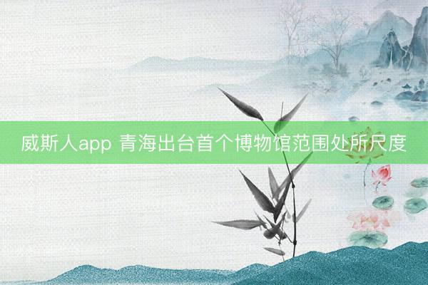 威斯人app 青海出台首个博物馆范围处所尺度