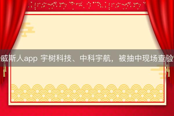 威斯人app 宇树科技、中科宇航，被抽中现场查验